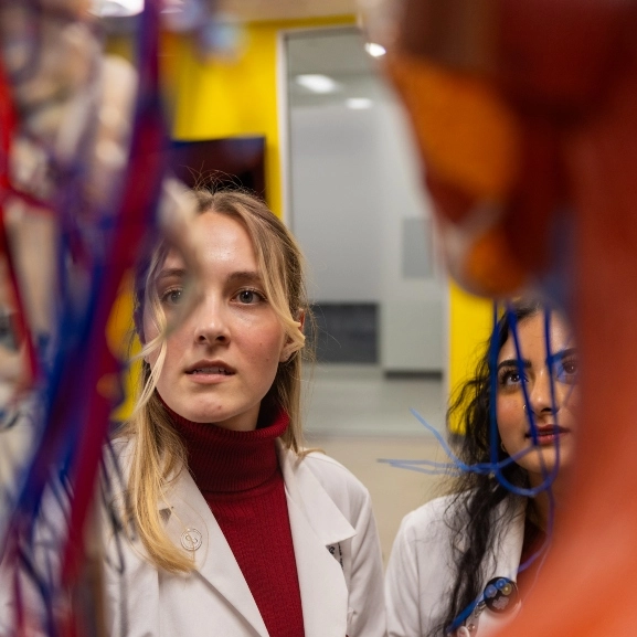 Two M.D. students study models of the human nervous and respiratory systems.