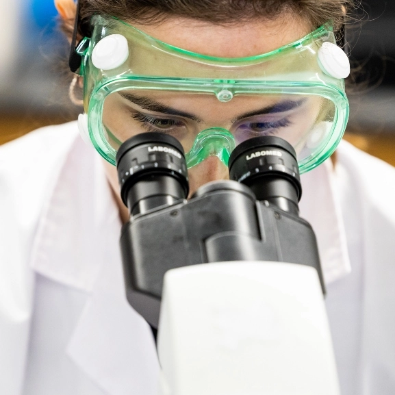 A graduate researcher looks through a microscope.