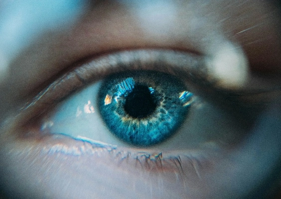 close up image of an eye