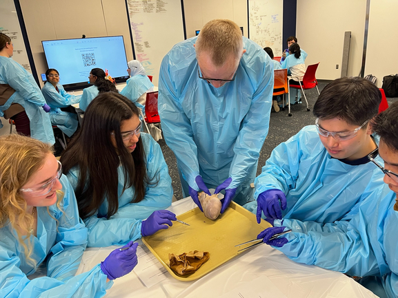 a student explains a presentation to a colleague