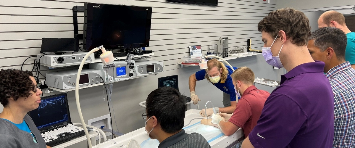 Sports medicine fellows practice their ultrasound technique.