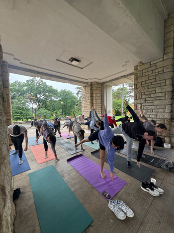 people practicing yoga in a class