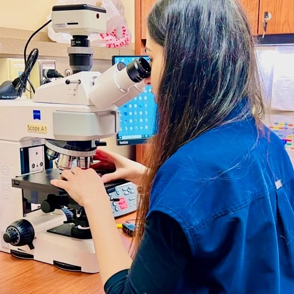 A pathology resident looking through a microscope in the lab. 